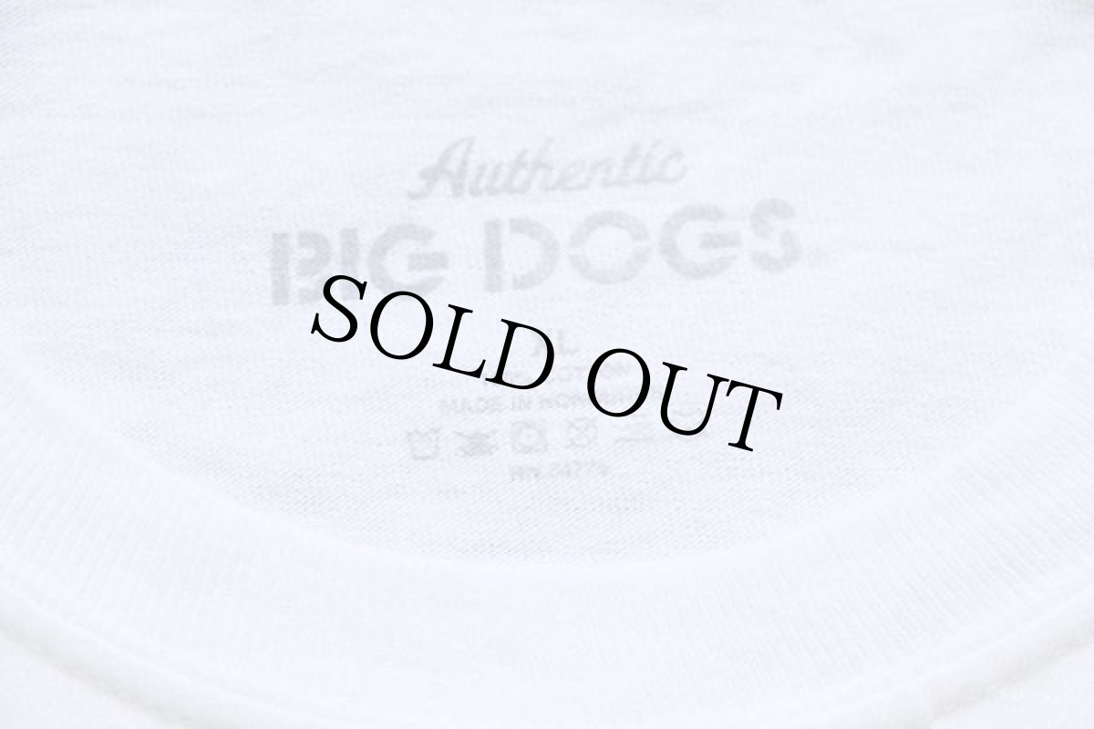 画像5: BIG DOGS ビッグロゴ コットンTシャツ 白 XL (5)