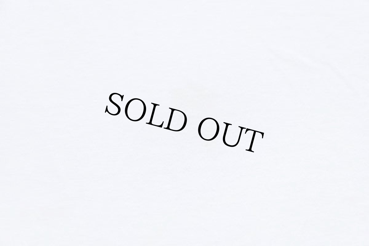 画像7: 90s USA製 BIG DOGS ビッグロゴ コットンTシャツ 白 XL (7)