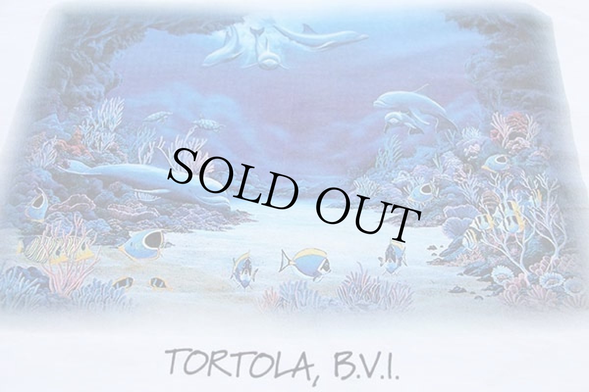 画像5: 90s USA製 TORTOLA, B.V.I. イルカ 熱帯魚 アート コットンTシャツ 白 XL (5)