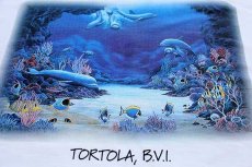 画像5: 90s USA製 TORTOLA, B.V.I. イルカ 熱帯魚 アート コットンTシャツ 白 XL (5)