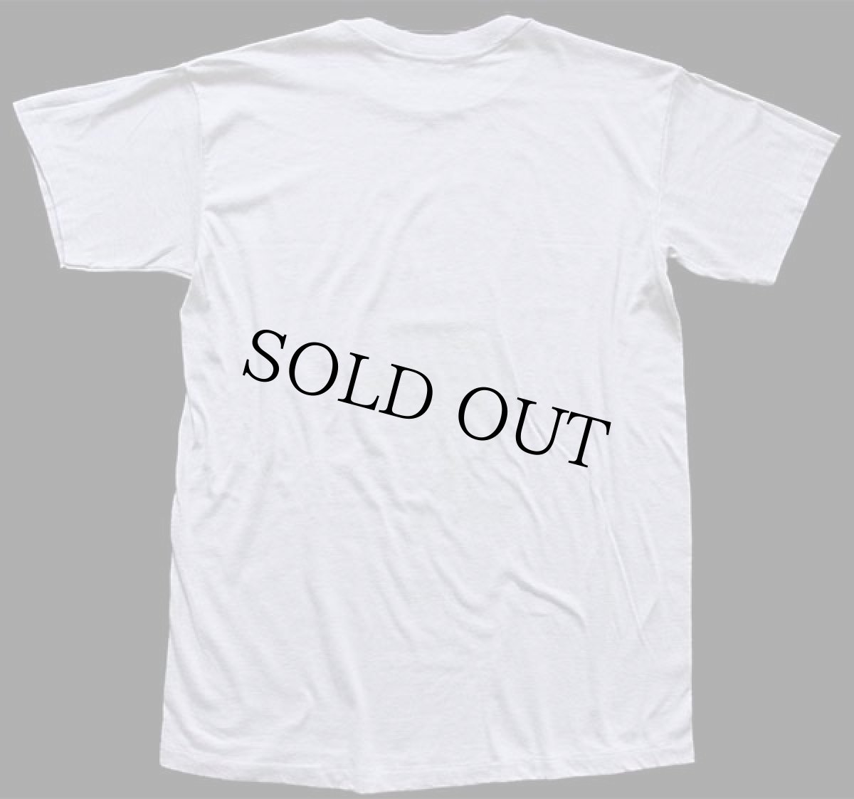 画像3: 80s The National Zoo パンダ Tシャツ グレー (3)