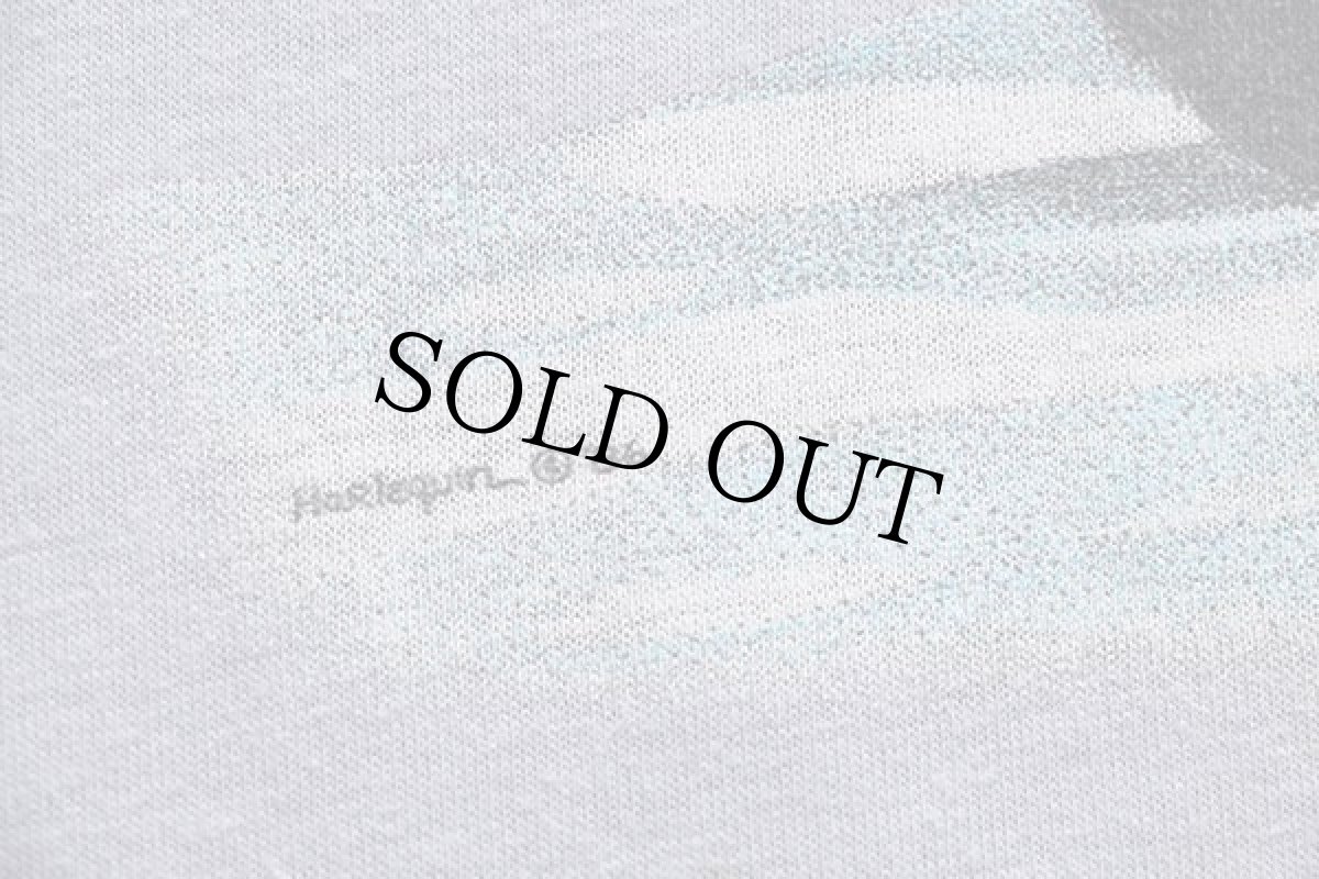 画像4: 80s The National Zoo パンダ Tシャツ グレー (4)