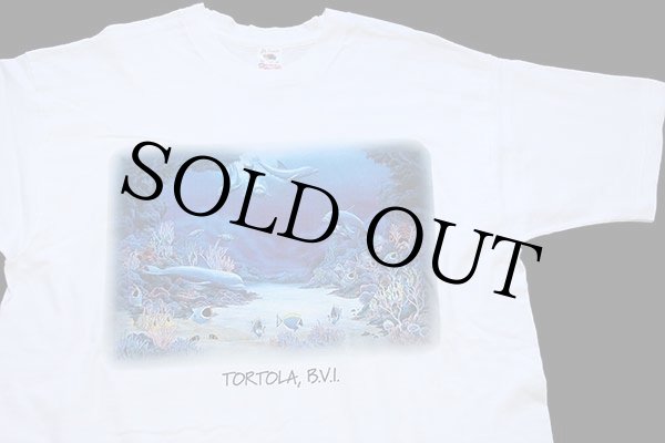 90s USA製 TORTOLA, B.V.I. イルカ 熱帯魚 アート コットンT 90s USA製 TORTOLA, B.V.I. イルカ 熱帯魚 アート コットンT