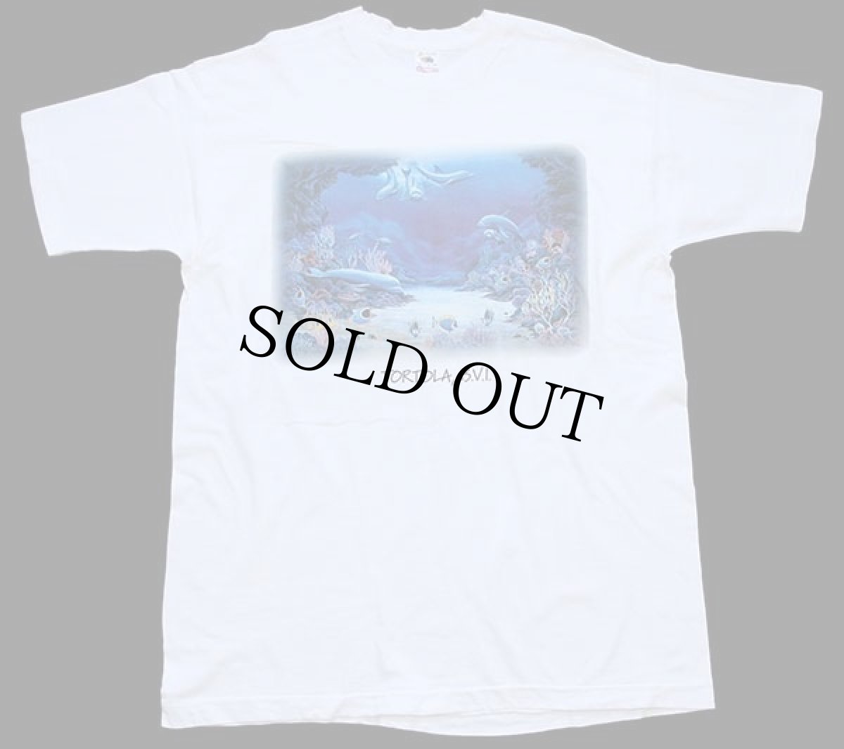 画像2: 90s USA製 TORTOLA, B.V.I. イルカ 熱帯魚 アート コットンTシャツ 白 XL (2)