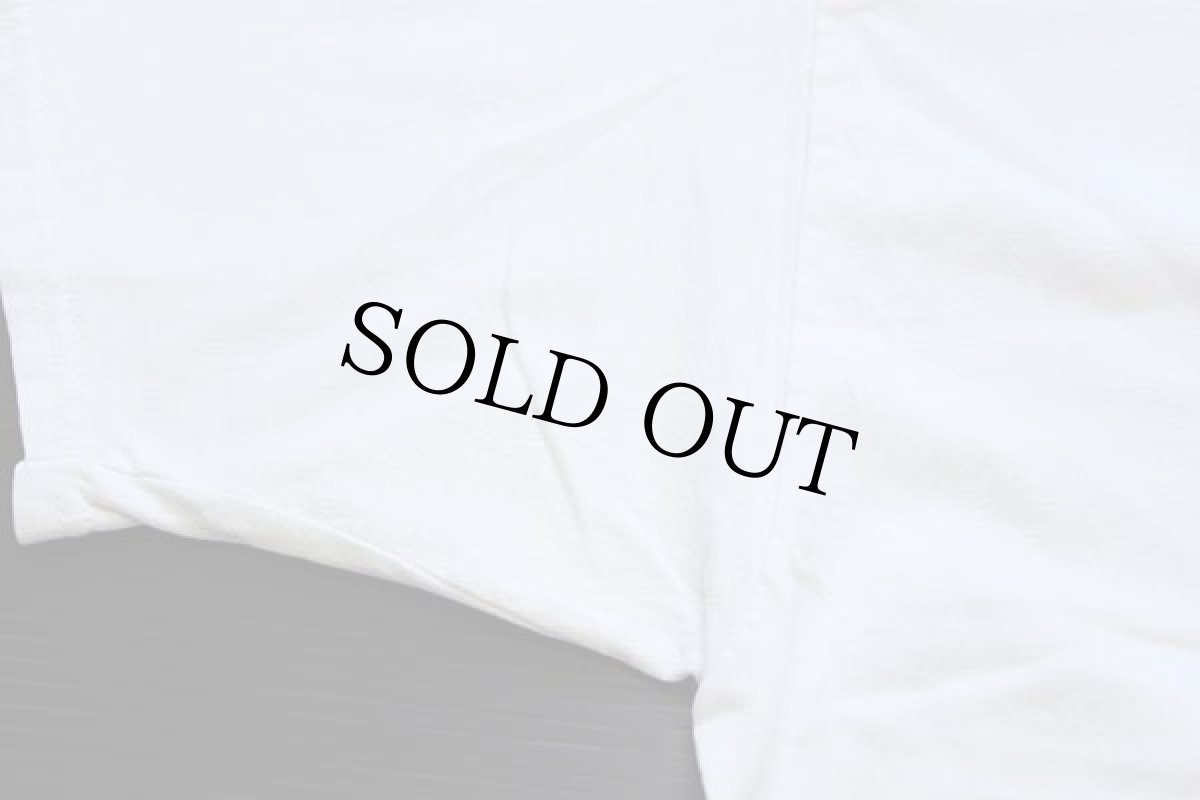 画像6: 90s Hanes BE PART of the BIG PICTURE at omaha's HENRY DOORLY ZOO ゾウ アート コットンTシャツ XL (6)