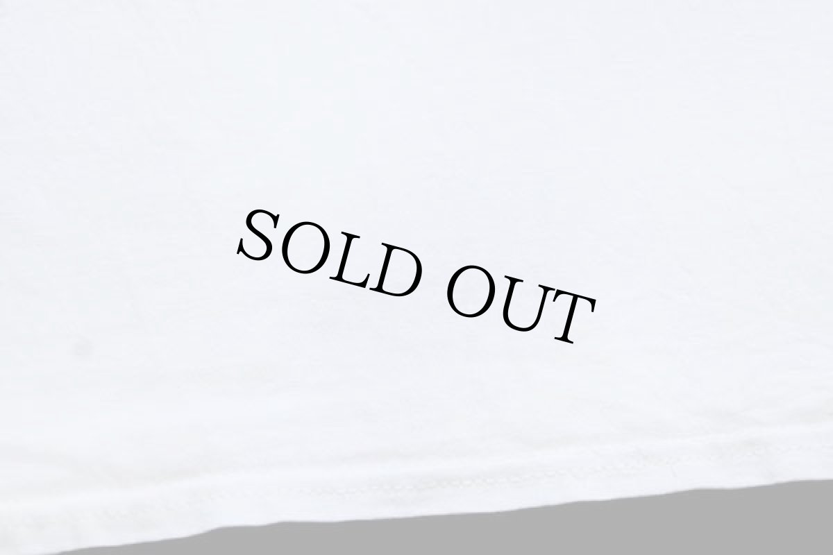 画像5: 90s Hanes BE PART of the BIG PICTURE at omaha's HENRY DOORLY ZOO ゾウ アート コットンTシャツ XL (5)