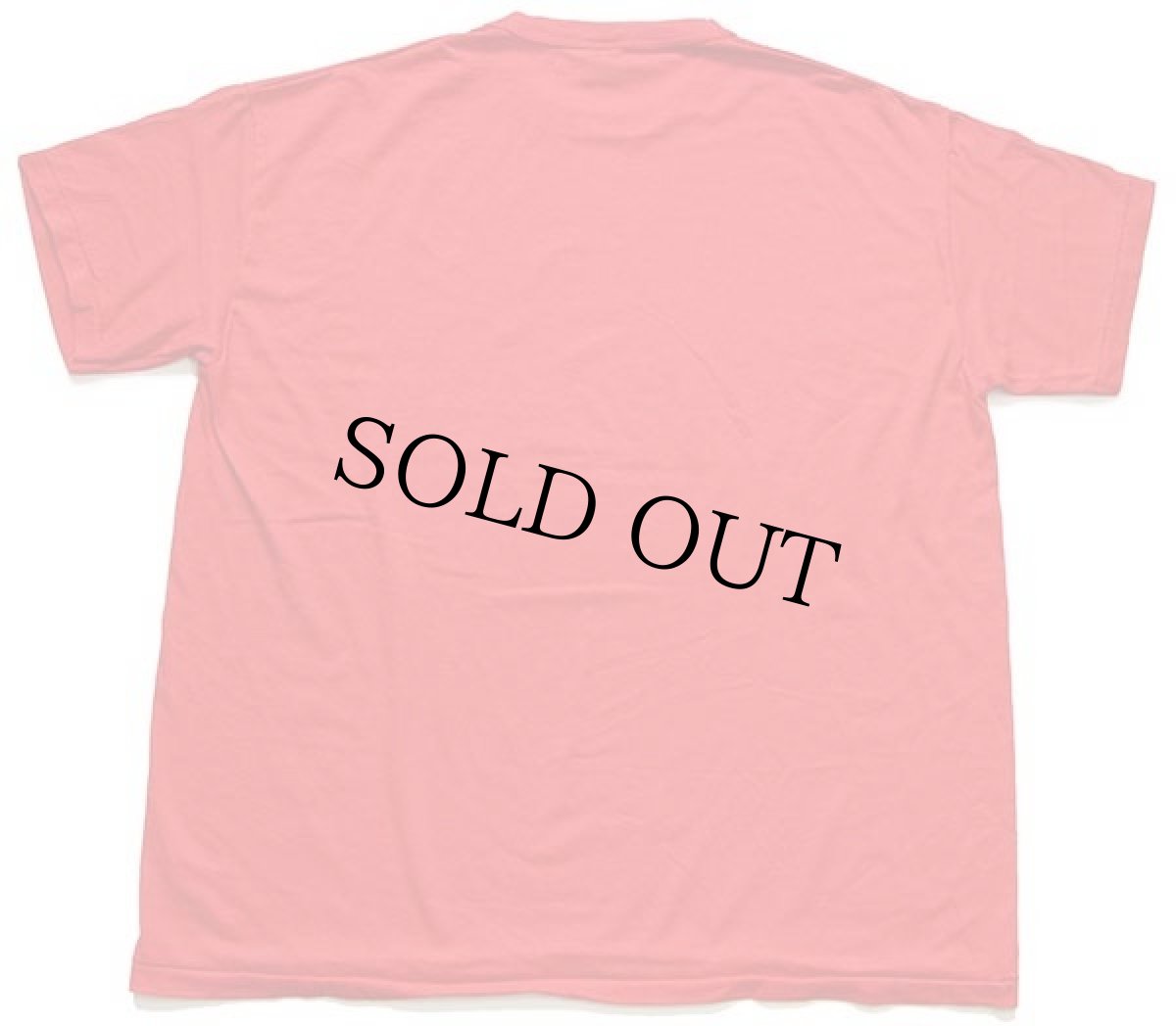 画像3: デッドストック★80s USA製 RUSSELLラッセル NORTHEAST HAWKS BASKETBALL CAMP マスコット Tシャツ 赤 XL★D (3)