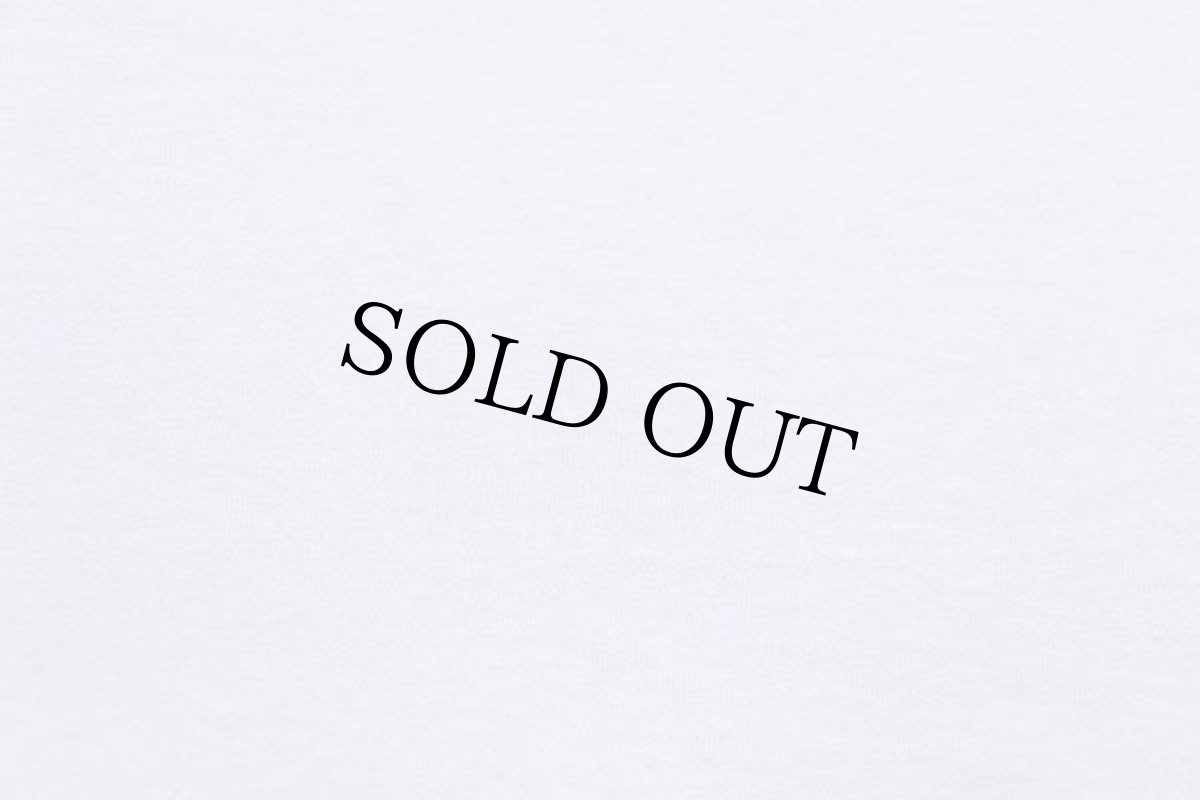 画像6: 90s USA製 BURLINGTON AIR EXPRESS ロゴ コットンTシャツ 白 XL (6)