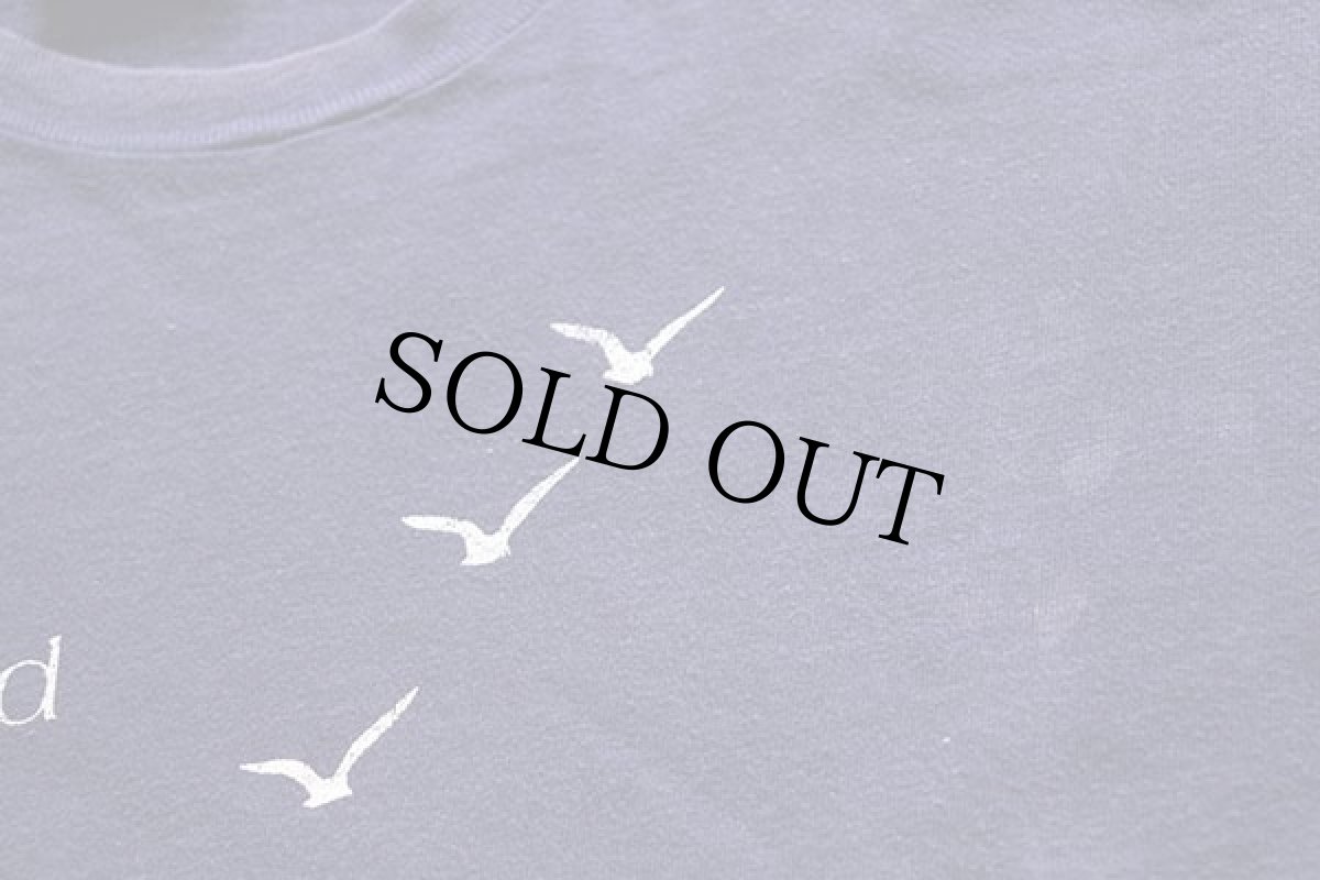 画像5: 80s USA製 Hanes Cape Cod カモメ コットンTシャツ ナス紺 フェード XL (5)