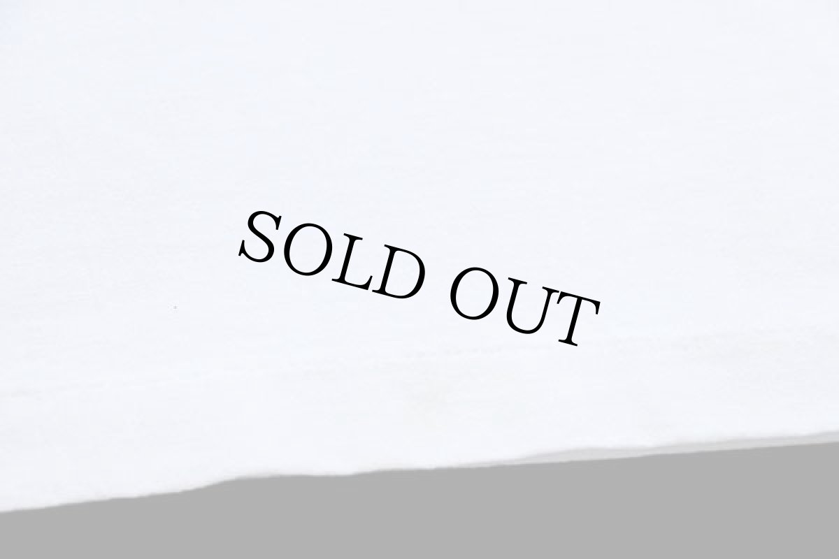 画像5: 90s USA製 レベルフラッグ MIKIE'S SECURITY 両面プリント Tシャツ 白 XL (5)