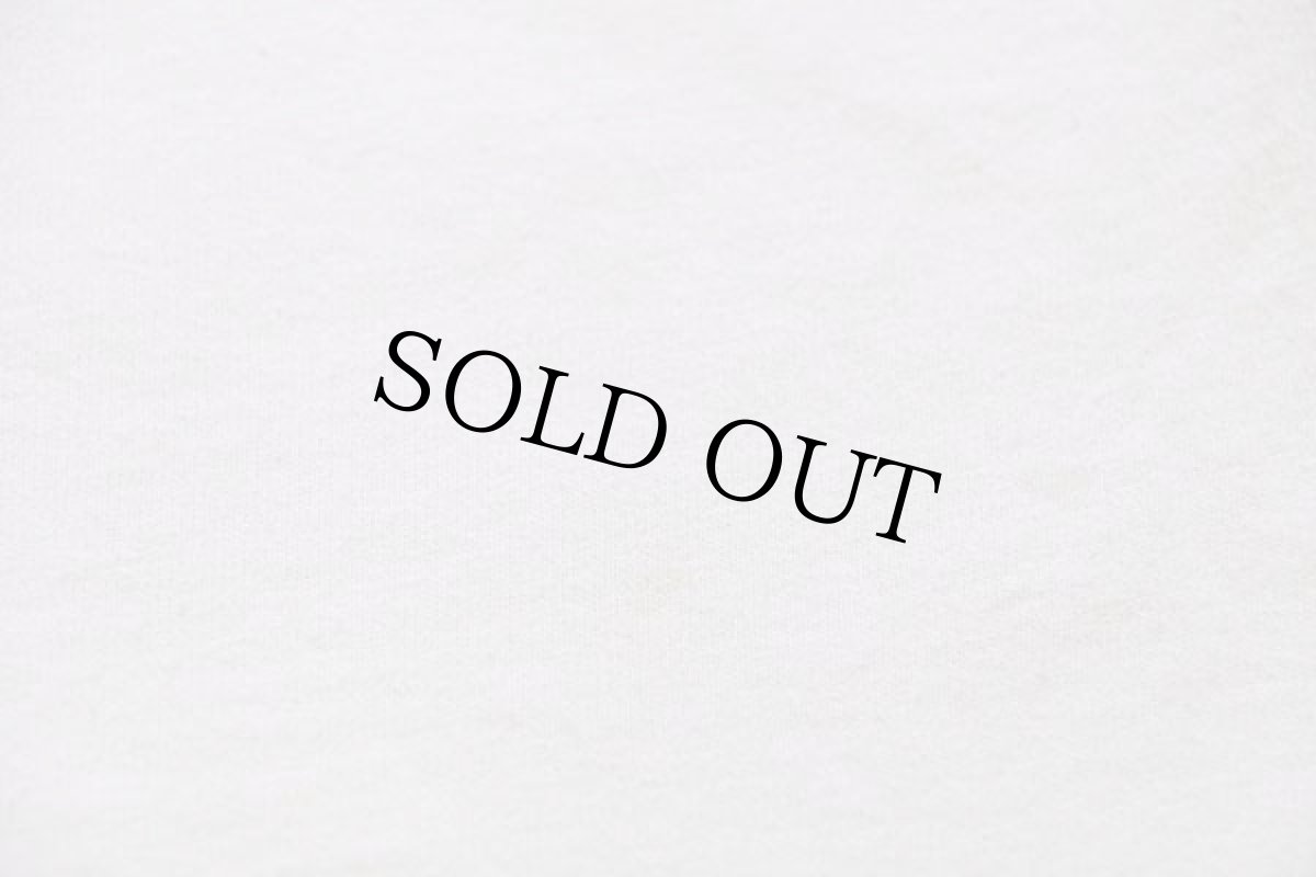 画像6: 90s USA製 DORAL Across America 熱気球 両面プリント アート コットン ポケットTシャツ 生成り XL (6)