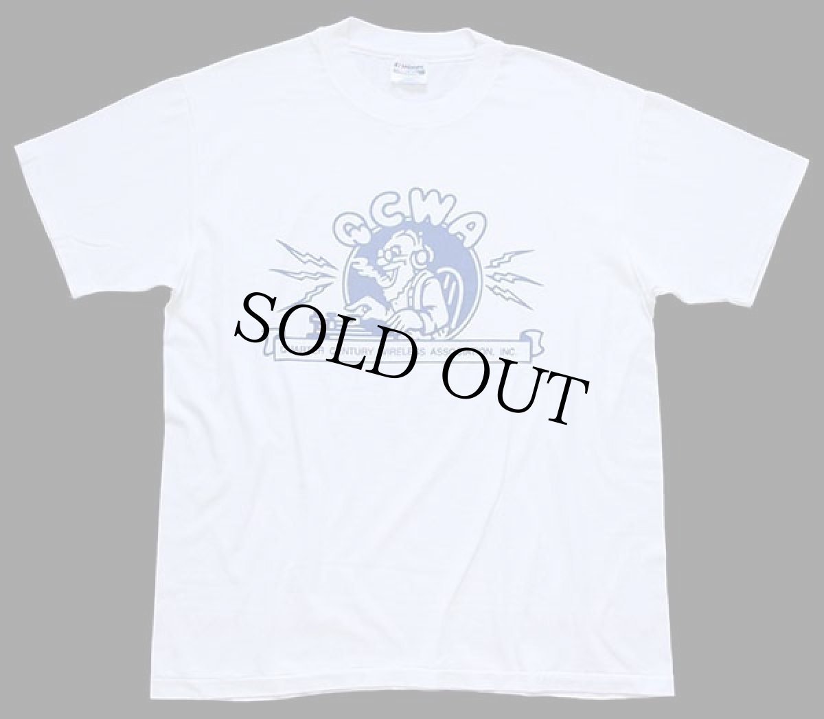 画像2: 90s USA製 Hanes QCWA QUARTER CENTURY WIRELESS ASSOCIATION,INC. イラスト Tシャツ 白 L (2)