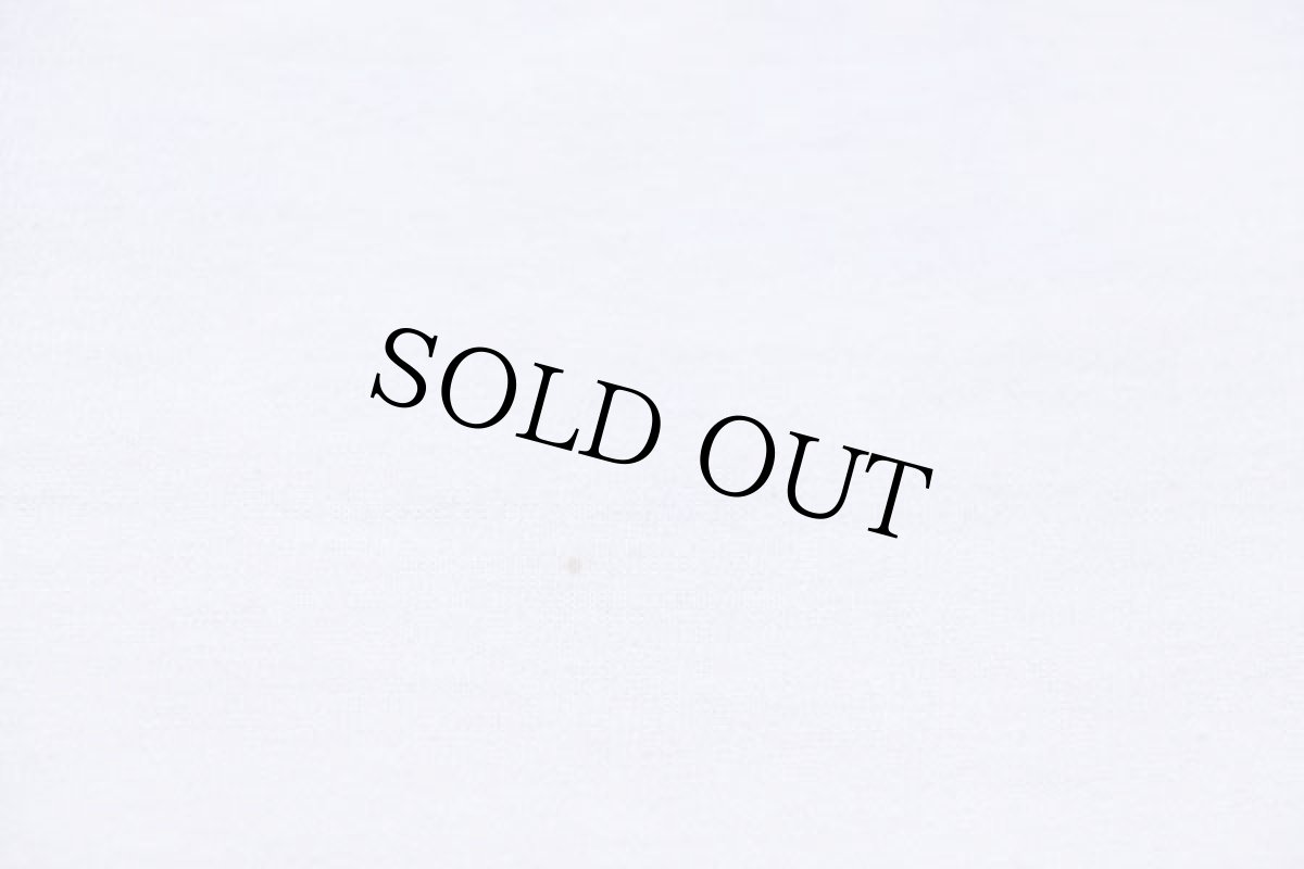 画像6: 90s USA製 Hanes QCWA QUARTER CENTURY WIRELESS ASSOCIATION,INC. イラスト Tシャツ 白 L (6)