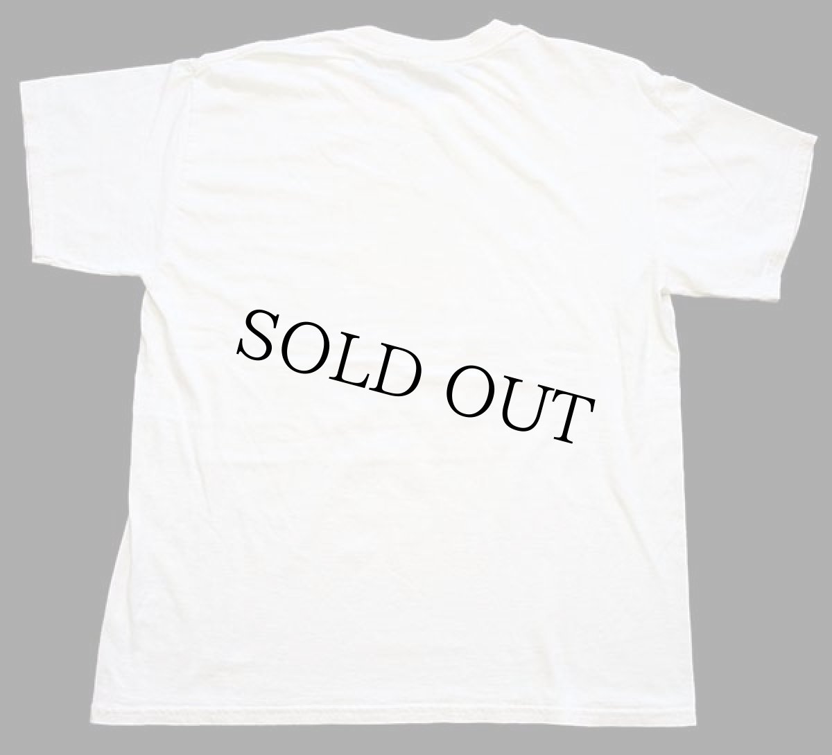 画像3: 00s FAMU RATTLER STRiKE! スネーク コットンTシャツ 生成り L (3)