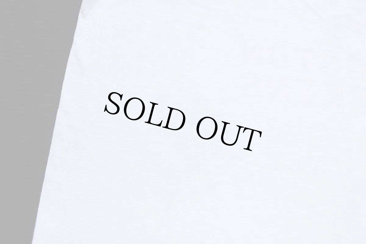 画像6: 90s USA製 I SUPPORT THE KINGSTON REDSKINS インディアンヘッド Tシャツ 白 L (6)