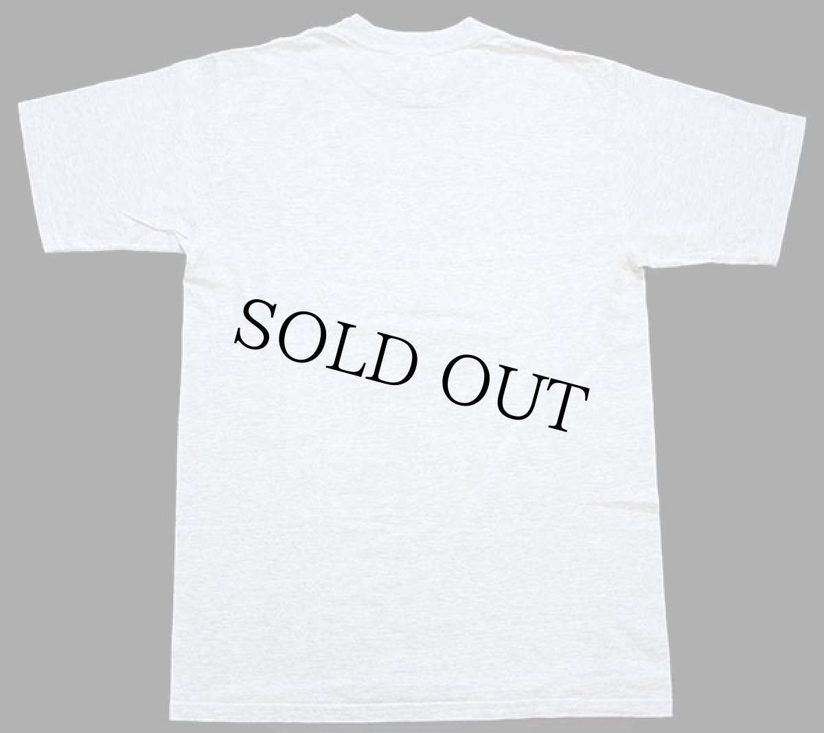 画像3: 00s Playa del Carmen Albert Einsteinアインシュタイン IMAGINATION アート コットンTシャツ オートミール M★偉人 (3)