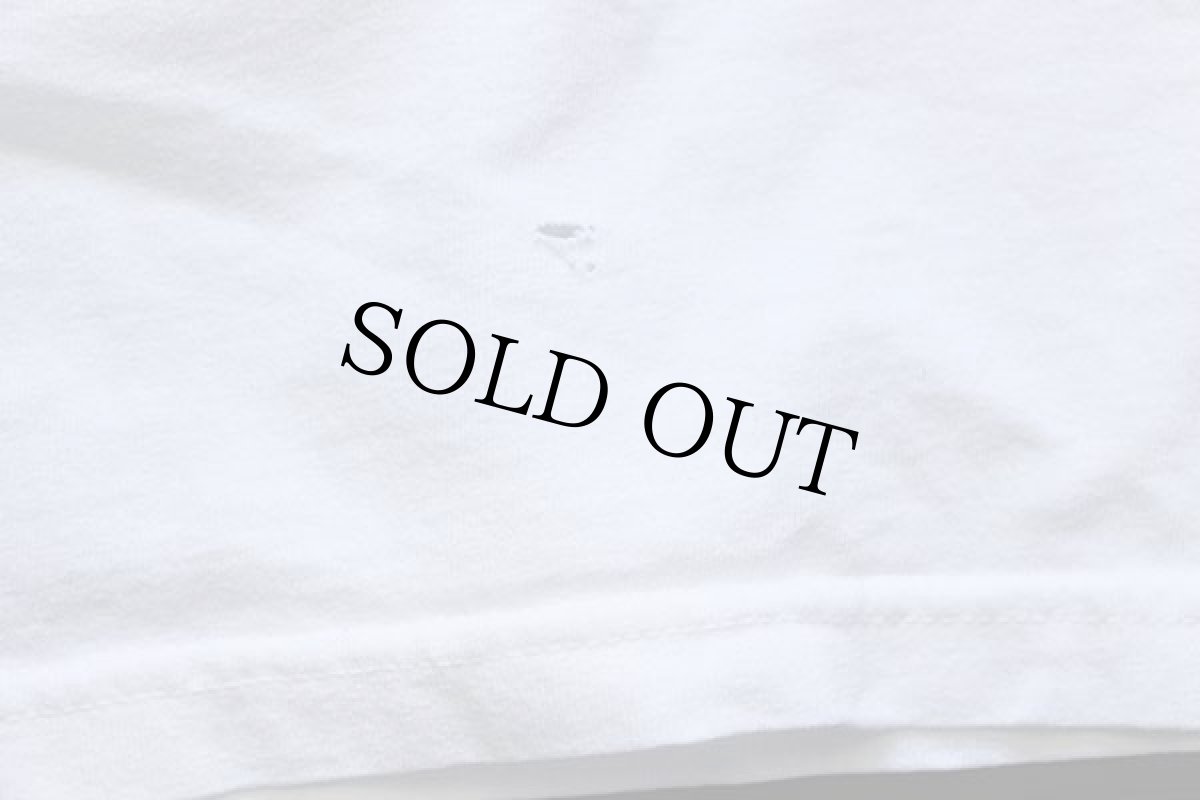 画像8: 00s patagoniaパタゴニア Beneficial T's WASHINTON,DC 北斎ウェーブ オーガニックコットンTシャツ 白 XL (8)