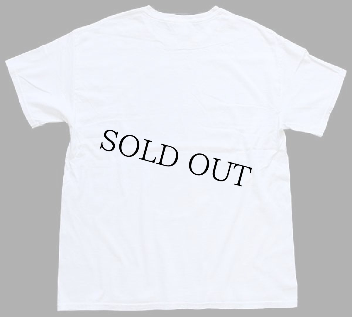 画像3: PROFESSOR LONGHAIR MUSEUM HENRY ROLAND BYRD フォトプリント コットンTシャツ 白 L (3)