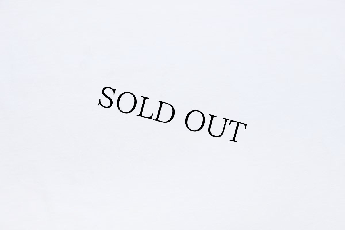 画像7: 00s patagoniaパタゴニア Beneficial T's WASHINTON,DC 北斎ウェーブ オーガニックコットンTシャツ 白 XL (7)