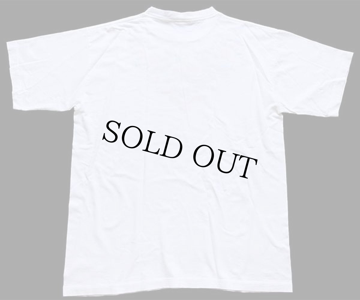 画像3: 90s グアテマラ製 フルーツ柄 ハンド刺繍 コットンTシャツ 白 (3)