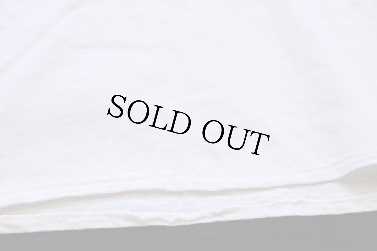 画像7: 90s SWAN MAGIC ハワイ ヤシの木 熱帯魚 フラダンス ウクレレ ハイビスカス サーフィン 太陽 刺繍 コットンTシャツ 白 (7)