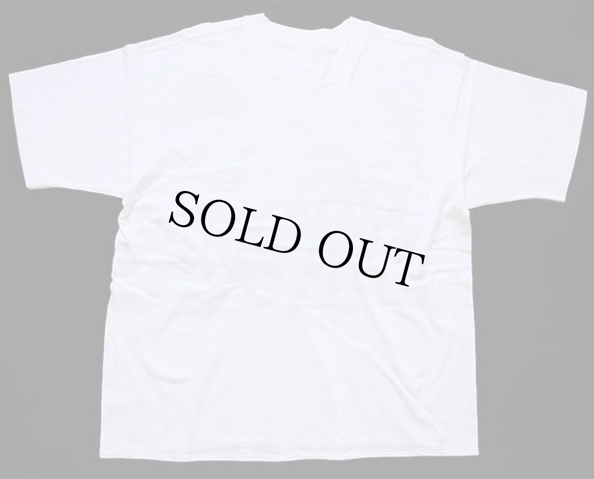 画像3: 90s SWAN MAGIC ハワイ ヤシの木 熱帯魚 フラダンス ウクレレ ハイビスカス サーフィン 太陽 刺繍 コットンTシャツ 白 (3)