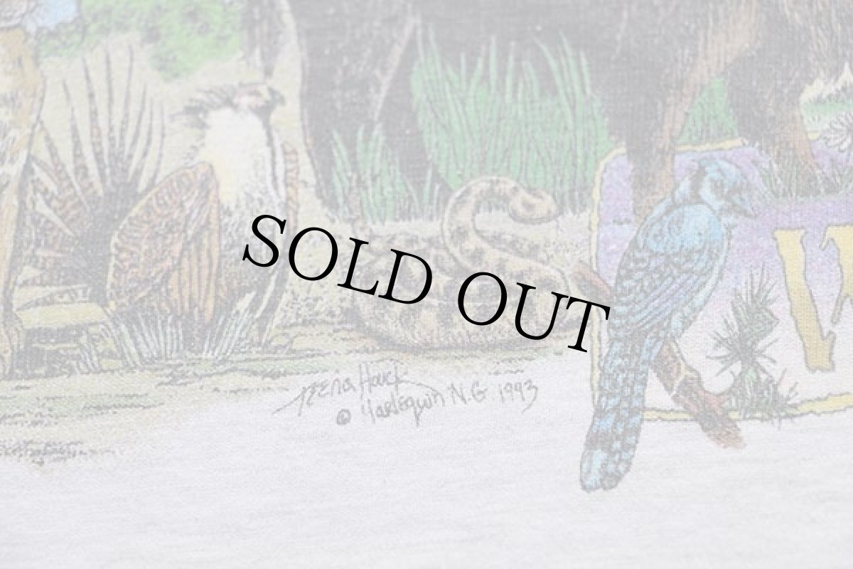 画像4: 90s USA製 Hanes NORTH AMERICAN WILDERNESS アニマル 両面プリント アート コットンTシャツ 杢ライトグレー M (4)