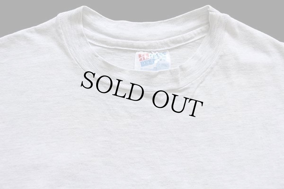 画像6: 90s USA製 Hanes NORTH AMERICAN WILDERNESS アニマル 両面プリント アート コットンTシャツ 杢ライトグレー M (6)