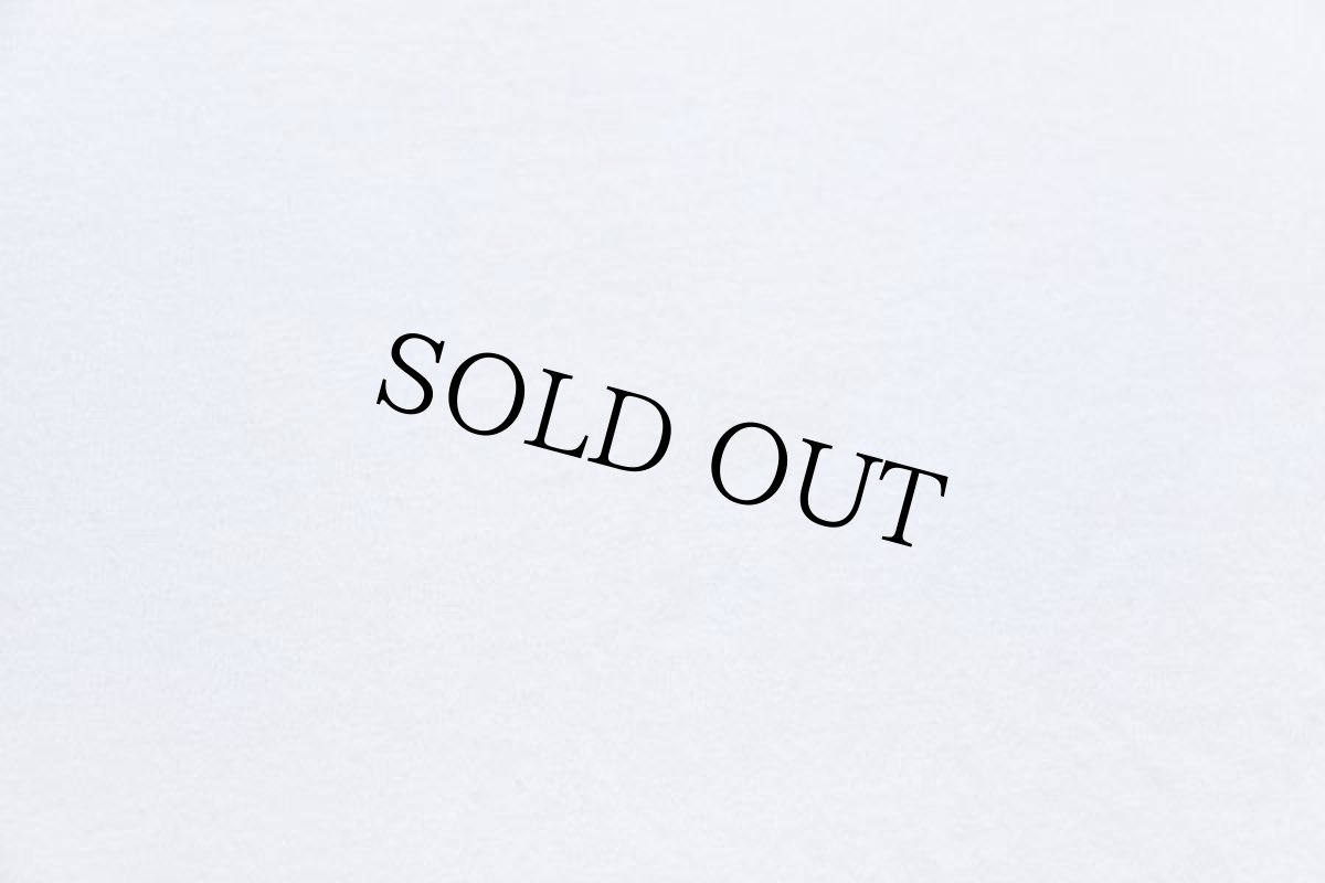 画像6: 90s Hanes THEY WERE HERE FIRST. アニマル 地球 アート コットンTシャツ 白 M (6)