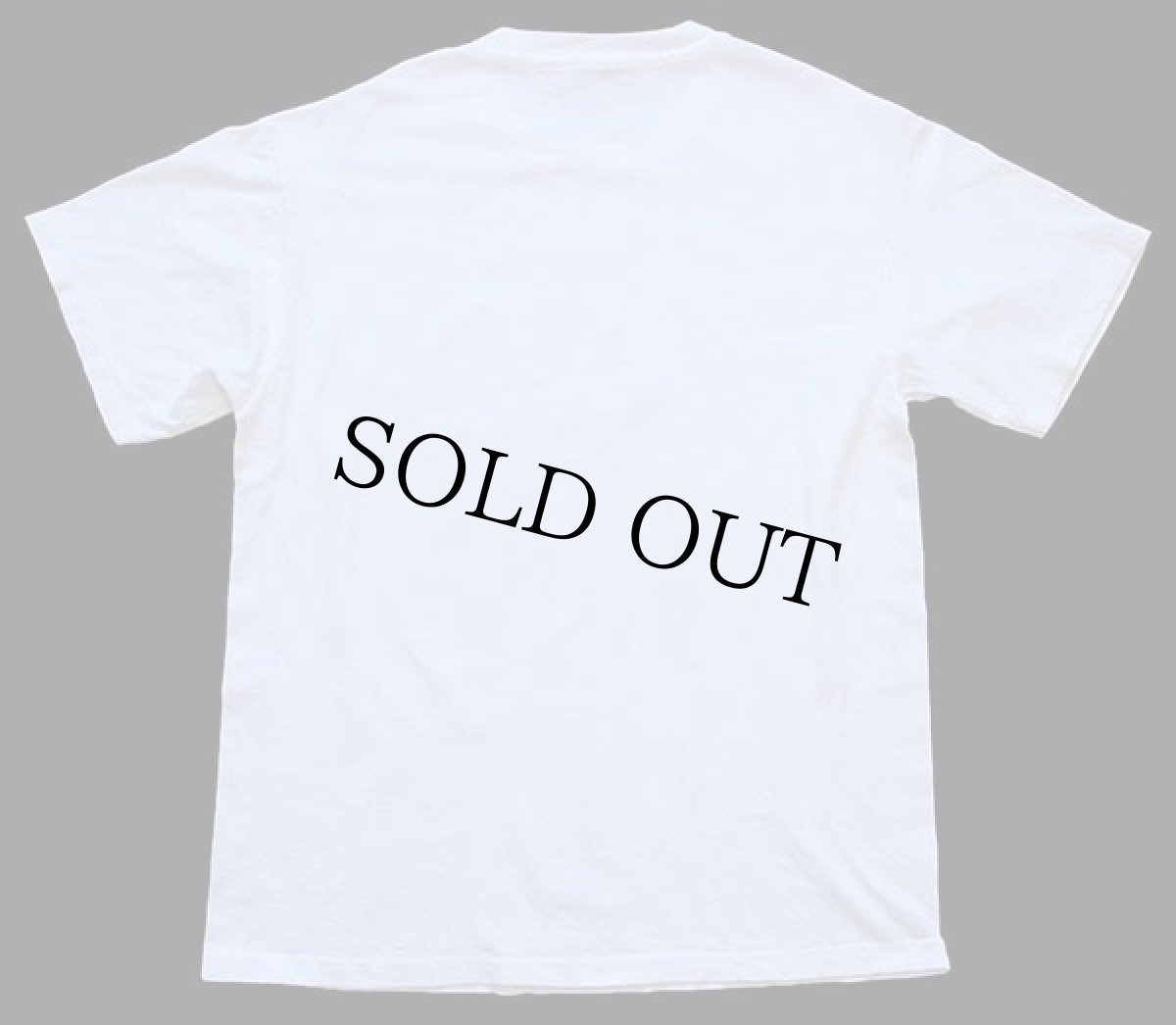 画像3: 90s Hanes THEY WERE HERE FIRST. アニマル 地球 アート コットンTシャツ 白 M (3)