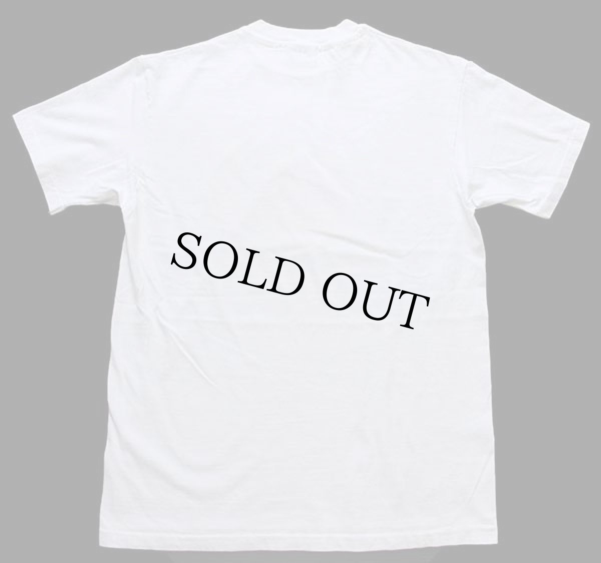 画像3: 90s USA製 Hanes INNER HARBOR CRABBING CLUB カニ コットンTシャツ 白 L (3)