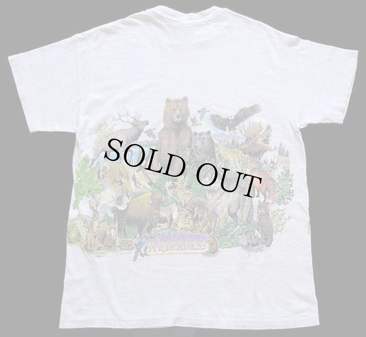 画像3: 90s USA製 Hanes NORTH AMERICAN WILDERNESS アニマル 両面プリント アート コットンTシャツ 杢ライトグレー M (3)