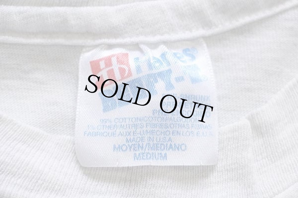 画像5: 90s USA製 Hanes NORTH AMERICAN WILDERNESS アニマル 両面プリント アート コットンTシャツ 杢ライトグレー M (5)