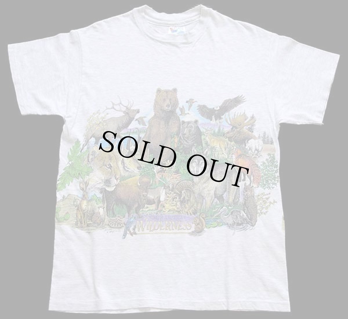 画像2: 90s USA製 Hanes NORTH AMERICAN WILDERNESS アニマル 両面プリント アート コットンTシャツ 杢ライトグレー M (2)