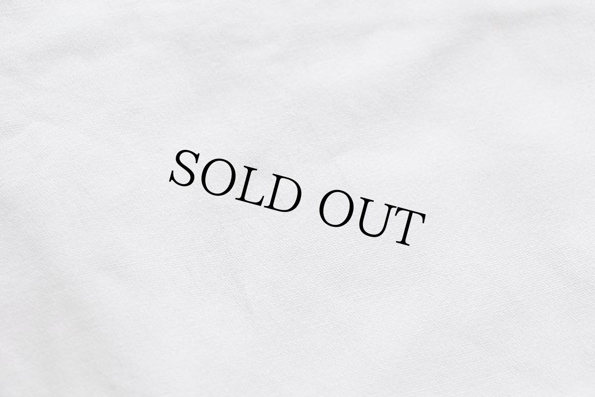 画像8: 90s Wranglerラングラー MOUNTAIN コットン キャンバス パンツ オフホワイト 34-32★ユーロ (8)