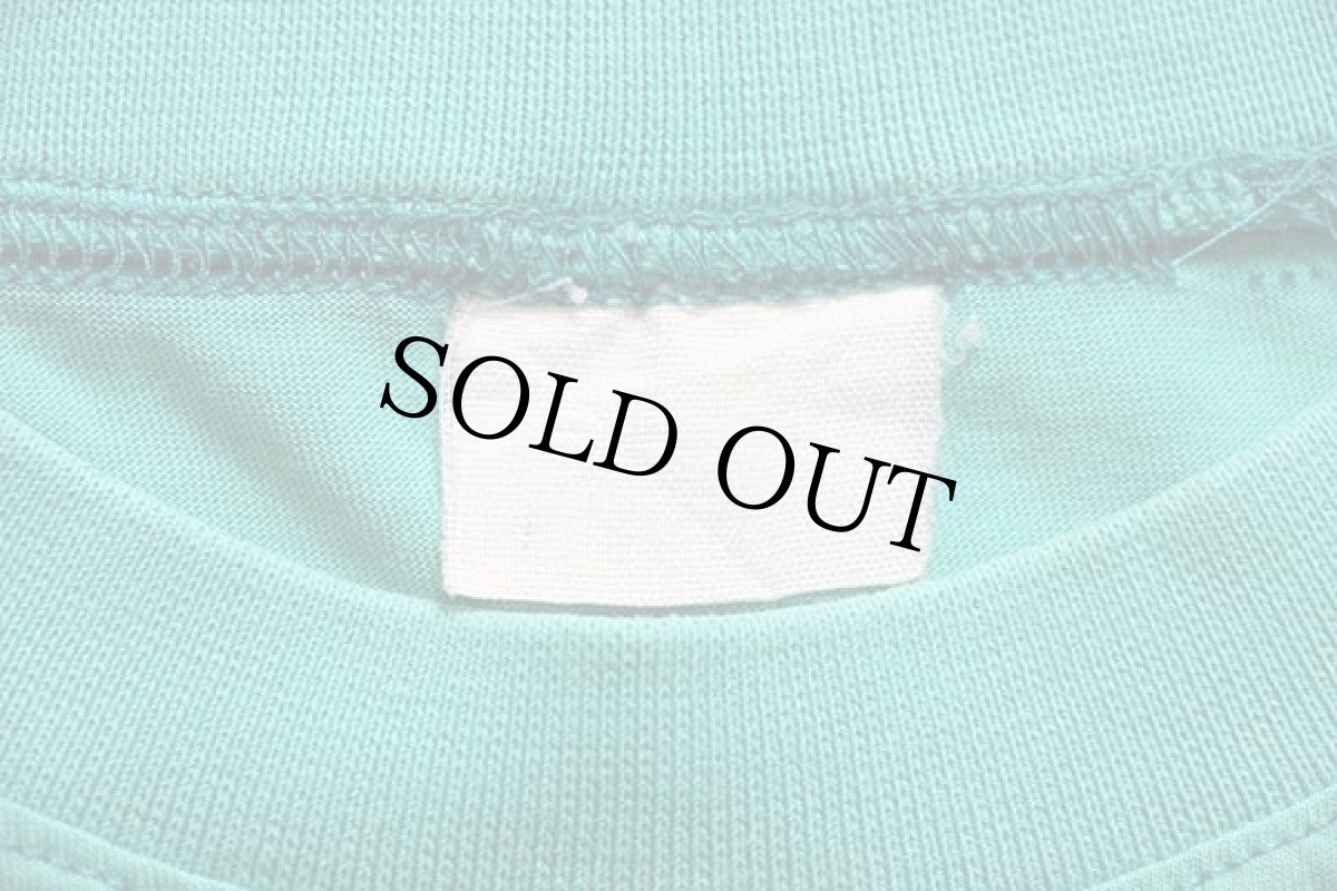 画像4: 90s CHAMPION CLUB OF CRICKET 太ボーダー コットンTシャツ 薄緑×薄青 (4)