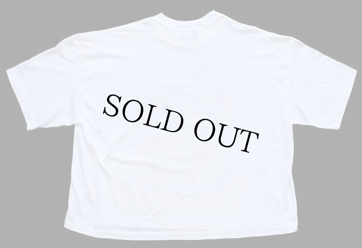 画像2: 90s TRUE COLORS ブタ CHILL イラスト ショート丈 コットンTシャツ 白 M (2)