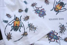 画像6: 90s USA製 TOLEDO ZOO 昆虫 アート コットンTシャツ 白 M (6)