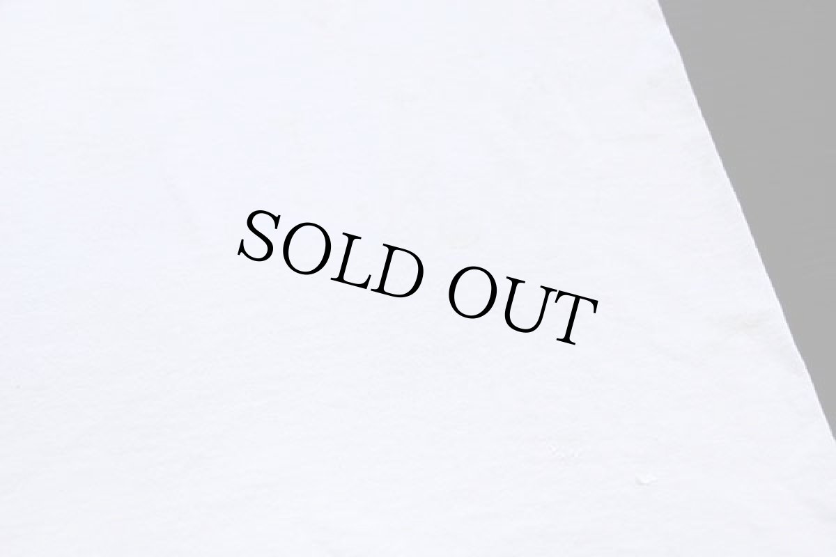 画像7: 90s USA製 Lollipop アップル イラスト コットンTシャツ 白 特大 (7)