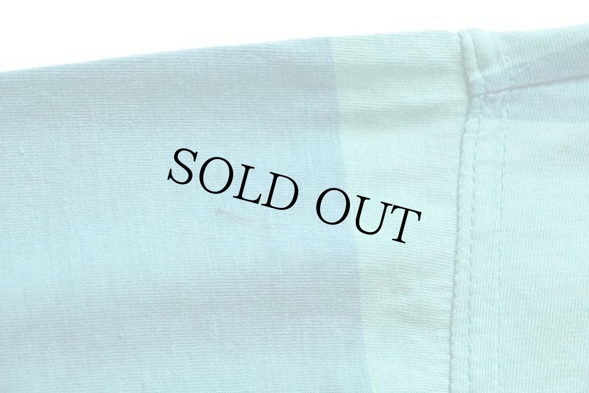 画像5: 90s CHAMPION CLUB OF CRICKET 太ボーダー コットンTシャツ 薄緑×薄青 (5)