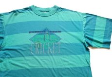 画像1: 90s CHAMPION CLUB OF CRICKET 太ボーダー コットンTシャツ 薄緑×薄青 (1)