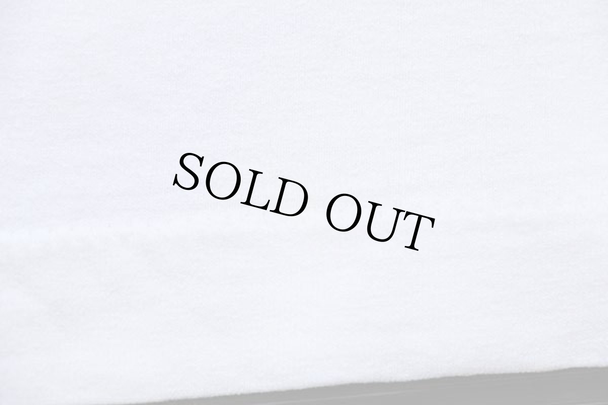 画像6: 90s USA製 STUSSYステューシー 白タグ フォトプリント コットンTシャツ 白 L (6)