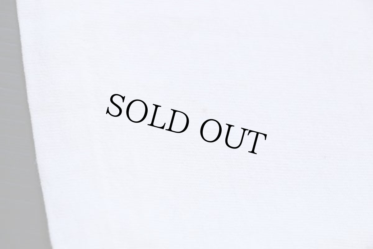 画像7: 90s USA製 NBA CHAMPS CHICAGO BULLS シカゴ ブルズ トゥイーティー コットンTシャツ 白 L (7)