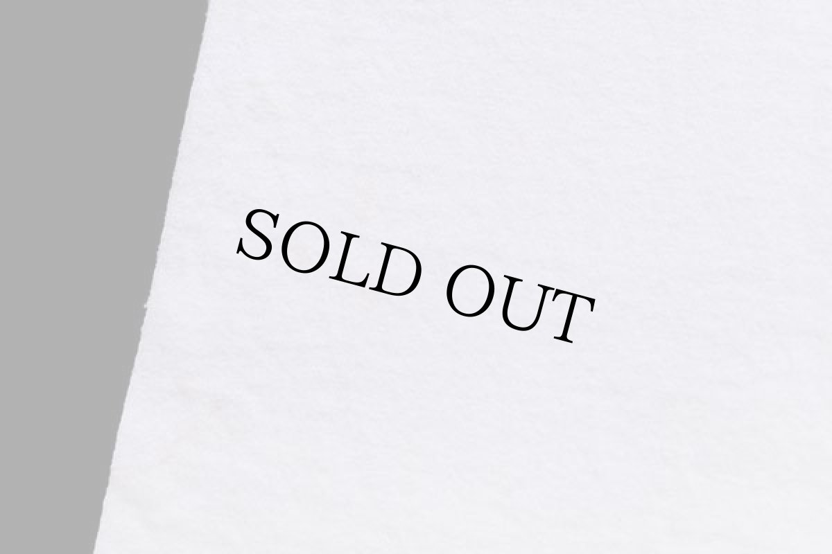 画像7: 90s USA製 NIKEナイキ AIR JORDAN エア ジョーダン×バッグスバニー コットンTシャツ 白 XXL (7)