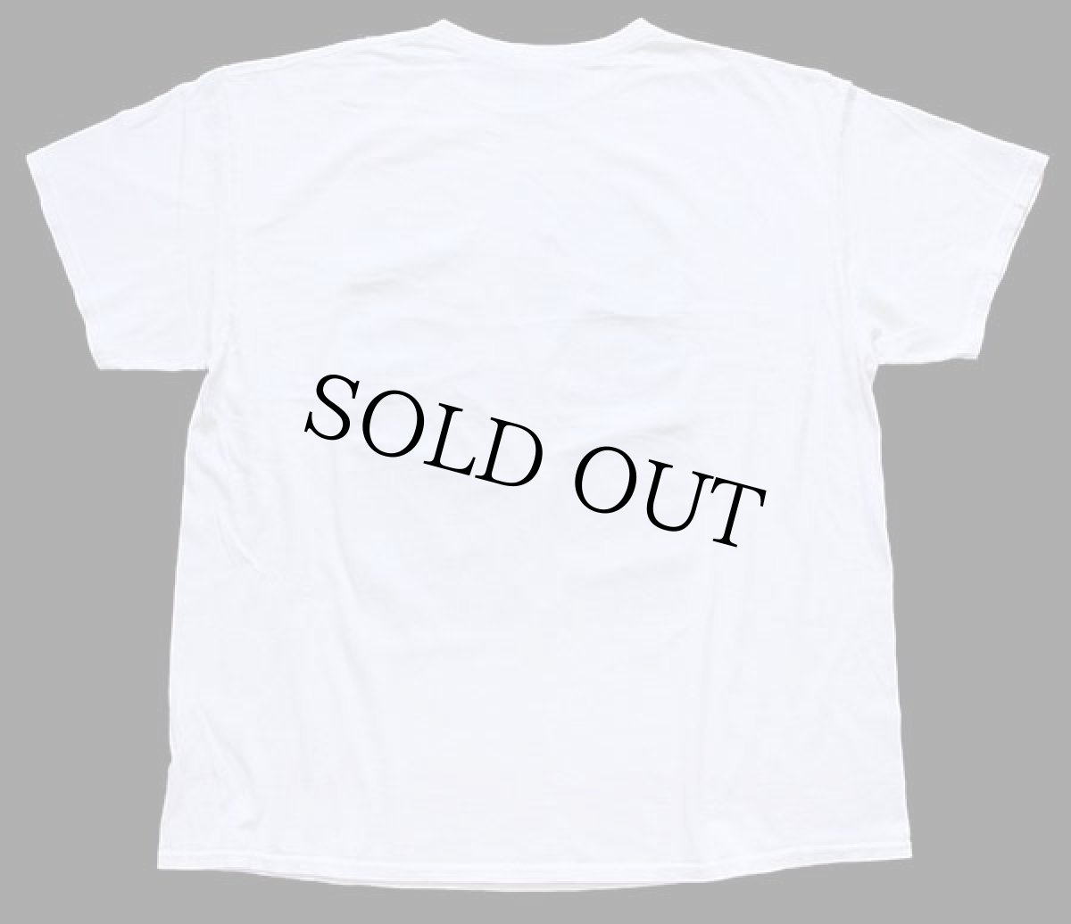 画像3: 00s SPACE JAMスペースジャム TUNE SQUAD バッグスバニー コットンTシャツ 白 XL (3)