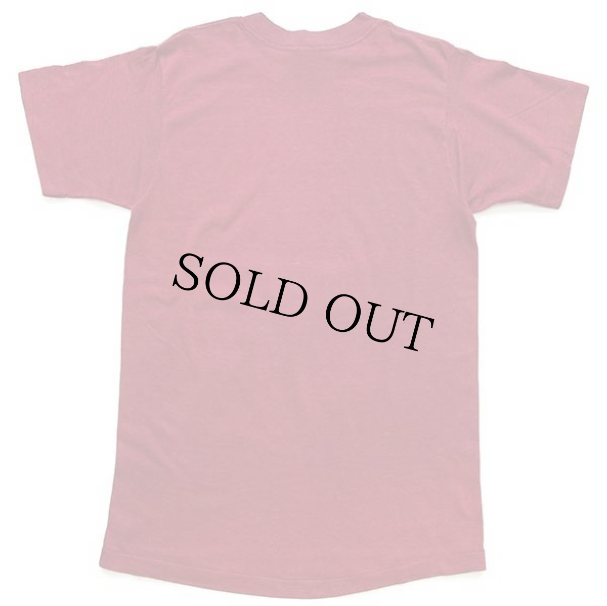 画像3: 80s USA製 Disneyディズニー Disneylandディズニーランド シンデレラ城 Tシャツ バーガンディ M (3)