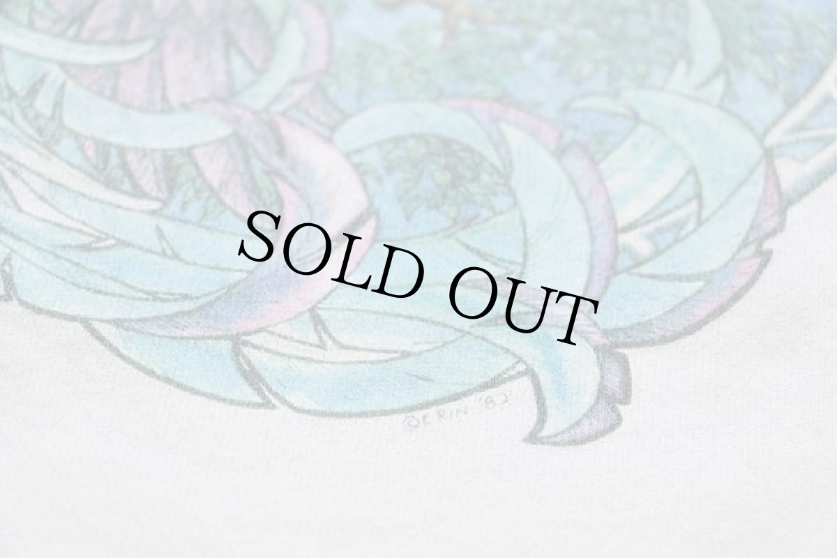 画像5: 80s USA製 フェニックス アート 半袖 スウェット 白 L (5)