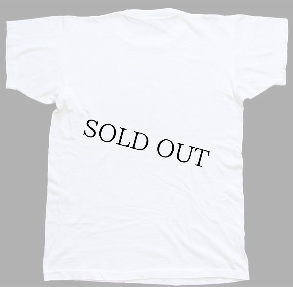 画像3: 60s USA製 CHAMPIONチャンピオン ランタグ YMCA CAMP TECUMSEH インディアンヘッド フロッキープリント コットンTシャツ 白M (3)