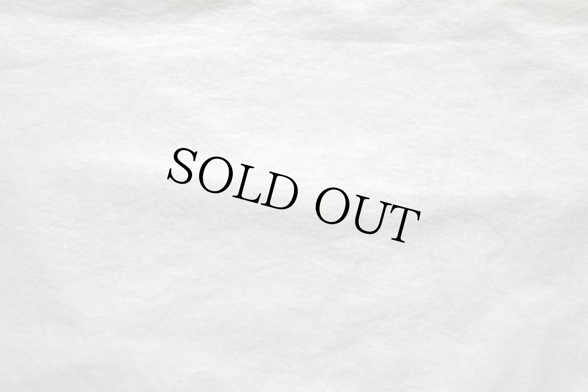 画像7: 00s CHAPS ラルフローレン ロゴ刺繍 ハーフジップ プルオーバー ナイロンジャケット グレーベージュL (7)