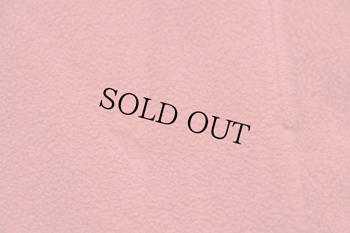 画像6: 00s patagoniaパタゴニア マースピアル ハーフジップ プルオーバー シンチラ フリース レンガ (6)